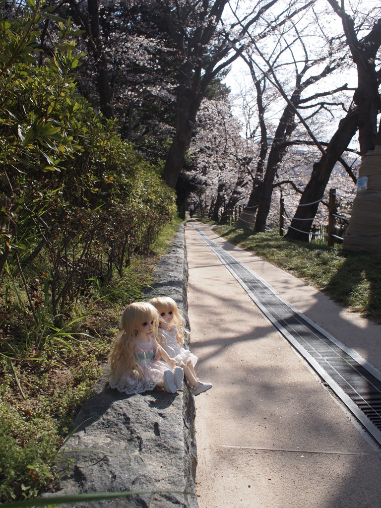 小道の天使