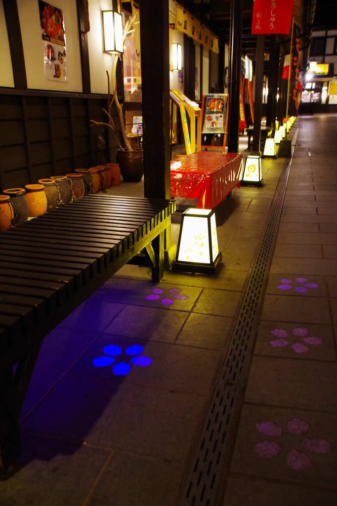 城彩苑の夜桜