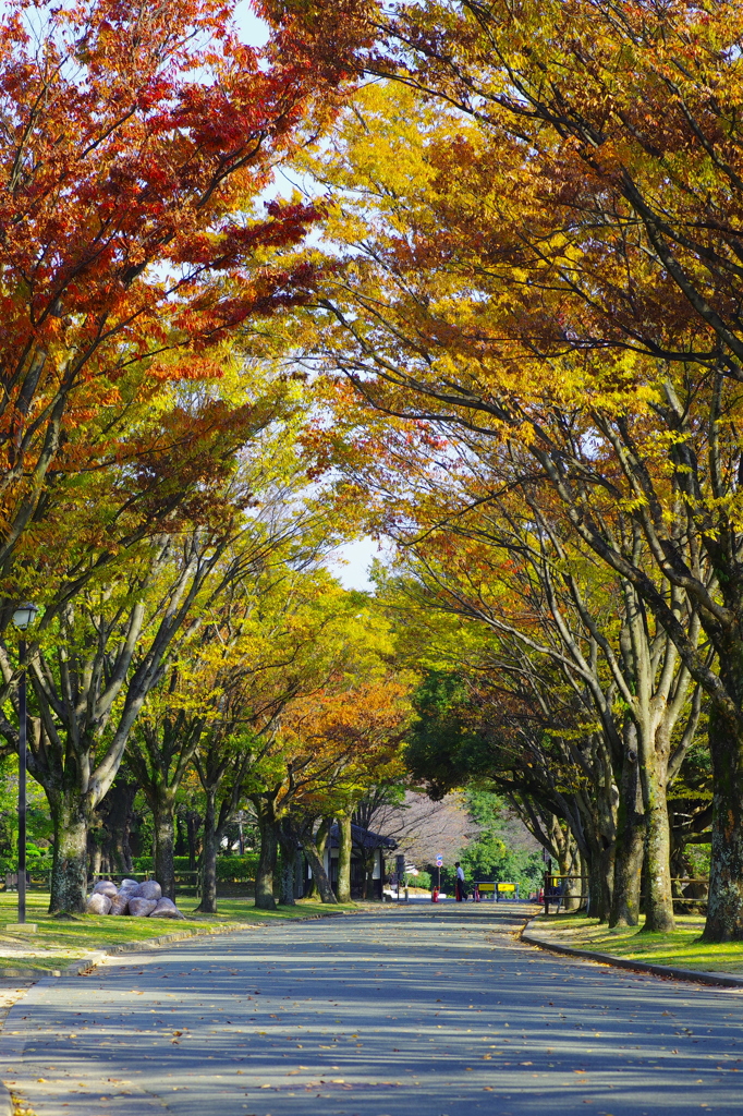 熊本城二の丸広場