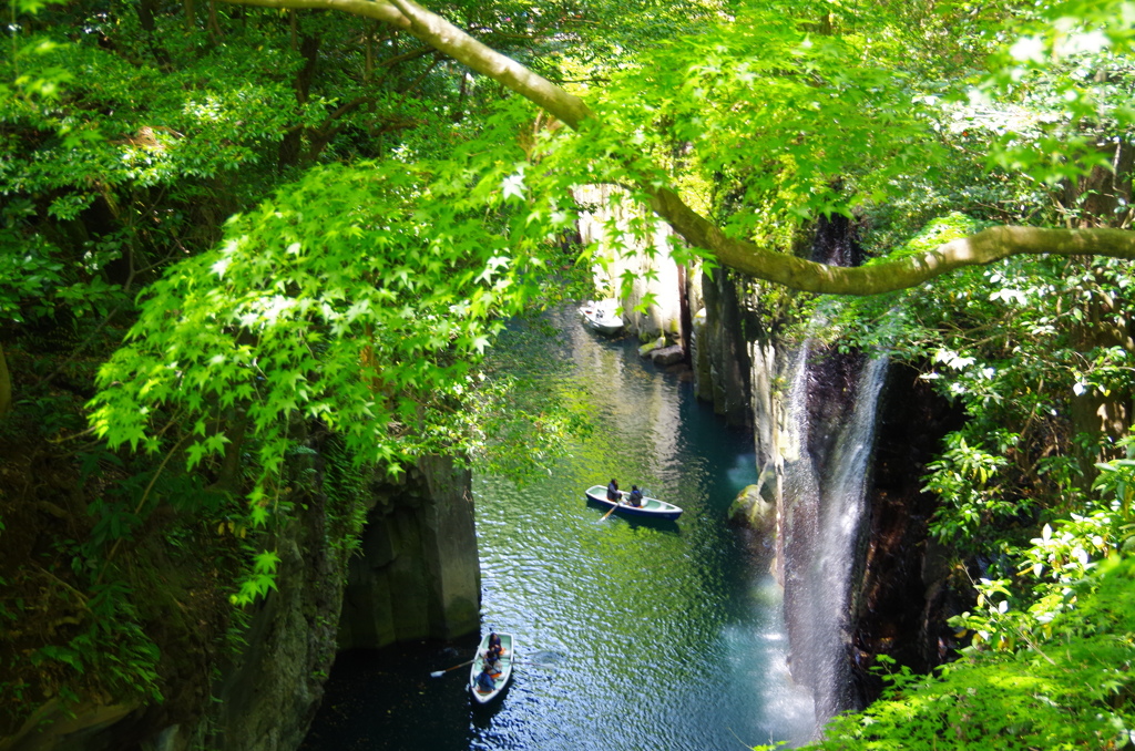 新緑の高千穂峡