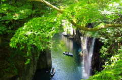 新緑の高千穂峡