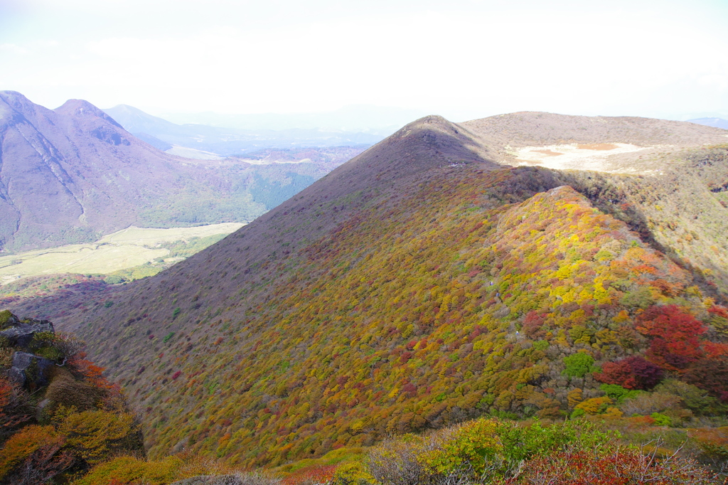 大船山の紅葉Ⅰ