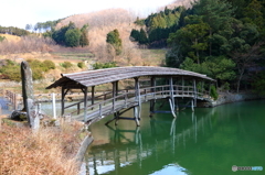 弓削神社の太鼓橋