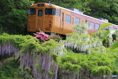 観光列車に花を添えて