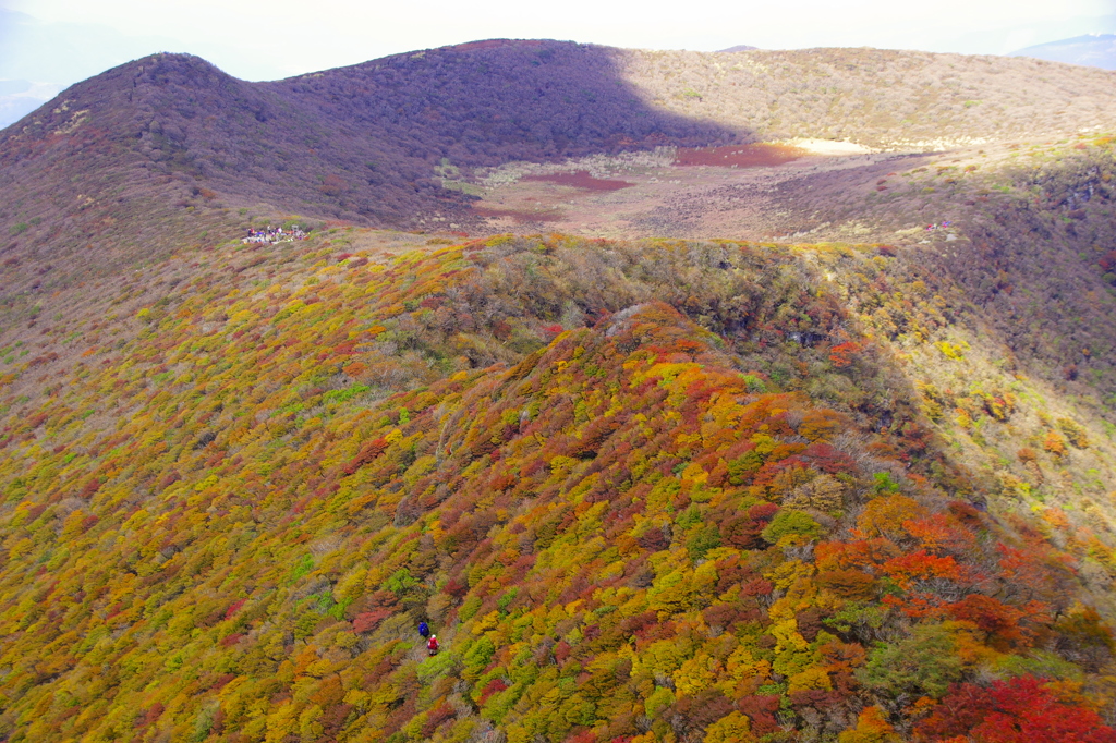 大船山の紅葉Ⅱ