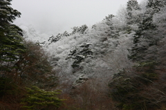 行く先は雪