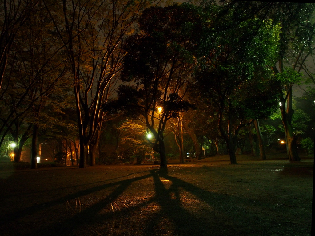 無人の公園