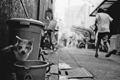 夕暮れ立石2