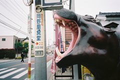 川越カラー6
