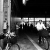 馬場景色2