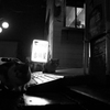 ＮＥＫＯＨＩＴＯ　３