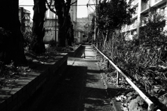 冬越え