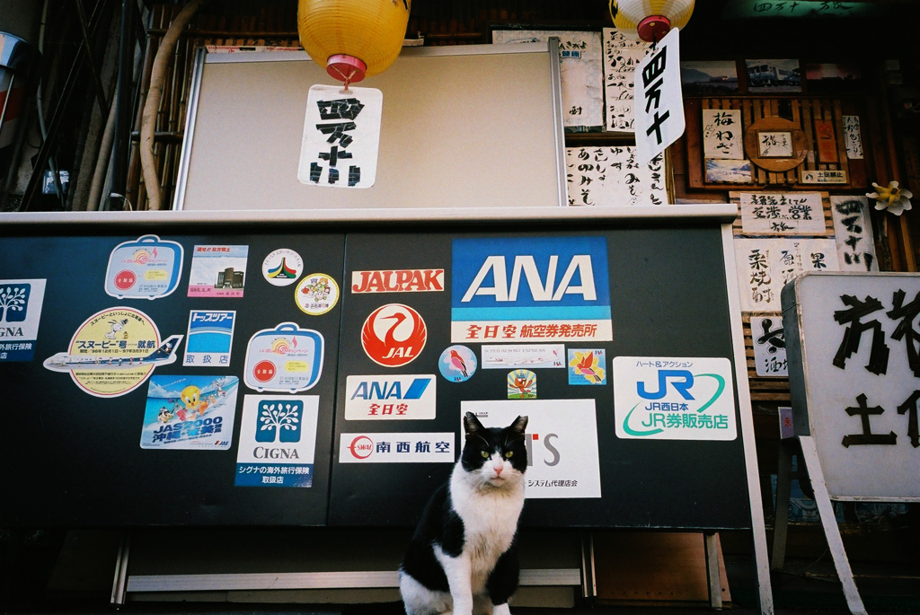 三月のムーンロード　３