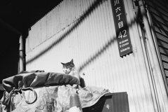 日曜の午後12