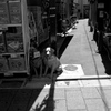砂銀Ｄ０ＧＳ1