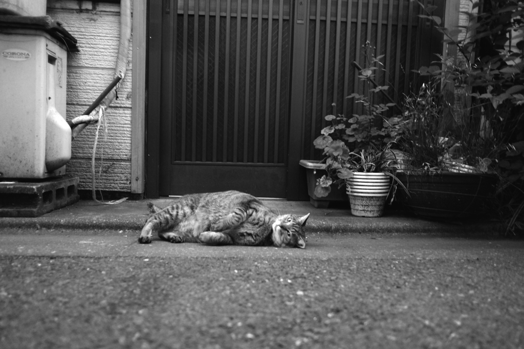 春の記憶　２