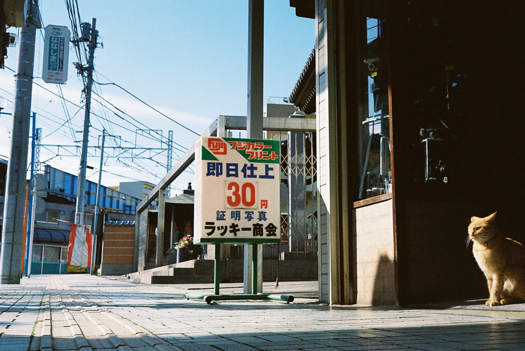 サンデー大口4