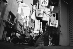 日曜の朝31