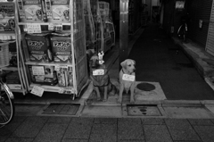 砂町銀座の夕べ2