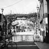 日曜の朝　三ノ輪3