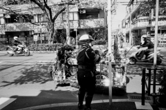 中野春景色1