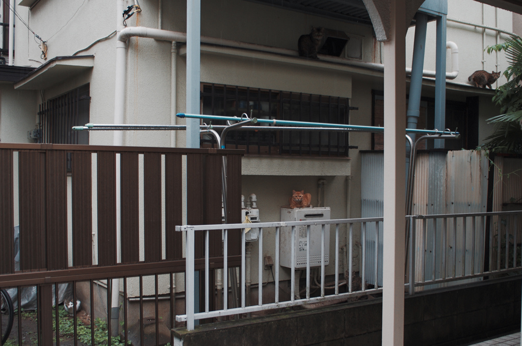 雨の朝