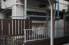 雨の朝