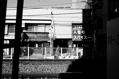 冬光　３