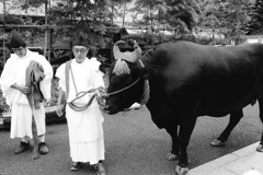 京都よりの使者　１