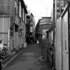 シモキタサタデーズ8