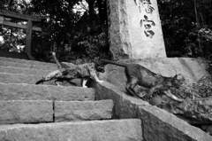 八幡宮の兄弟2
