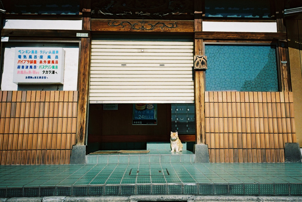 千住カラー　4