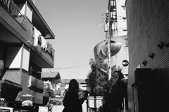 日曜の朝29