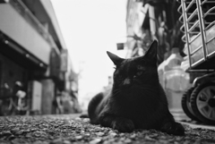 流れる　４