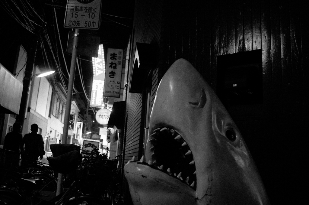 夜鮫