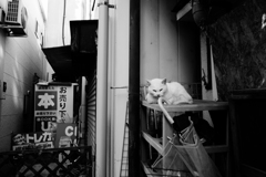 立石　年の瀬　８