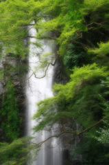 滝
