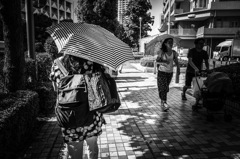Parasol