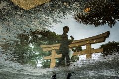 In the puddle
