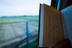 Reading in the bullet train