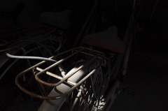 Still life ‘Carrier’