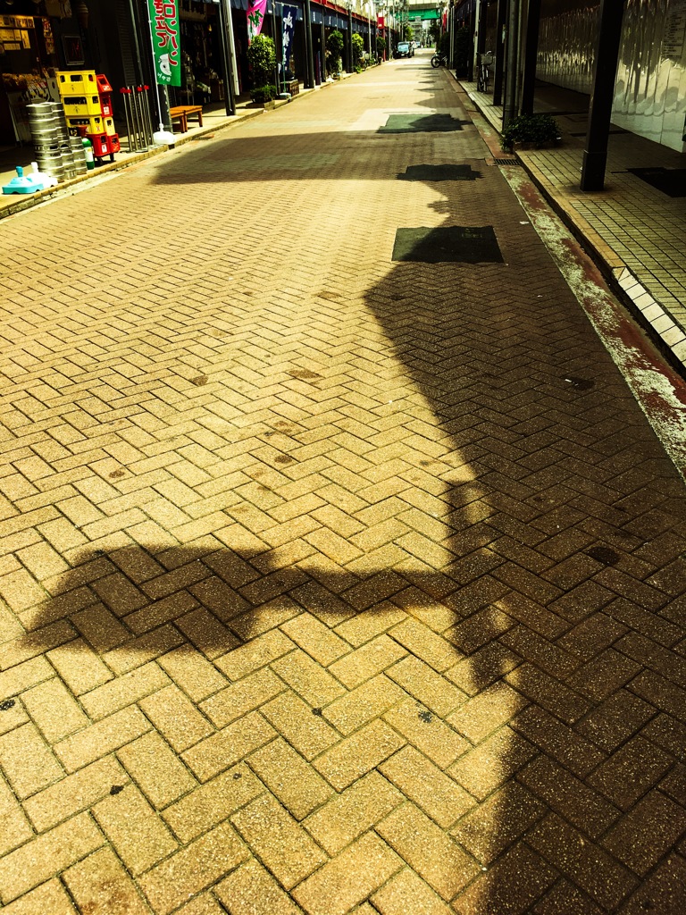 Paint of shadow