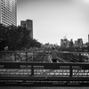 Watch the train going away