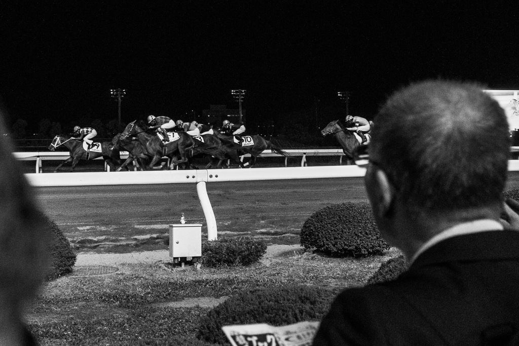 At the racecourse #4