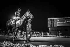 At the racecourse #3