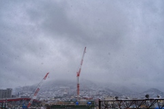 Crane in the snow