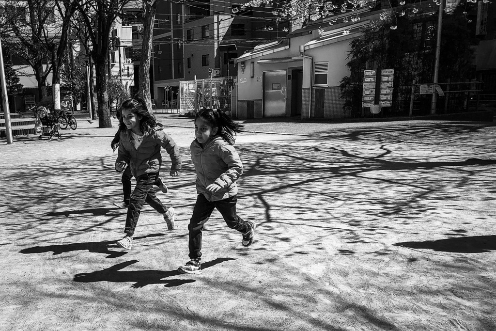 Running under cherry blossom 