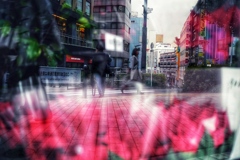 Reflected city