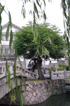 One hour trip in Kurashiki #3