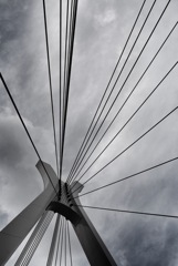 Bridge over tomorrow